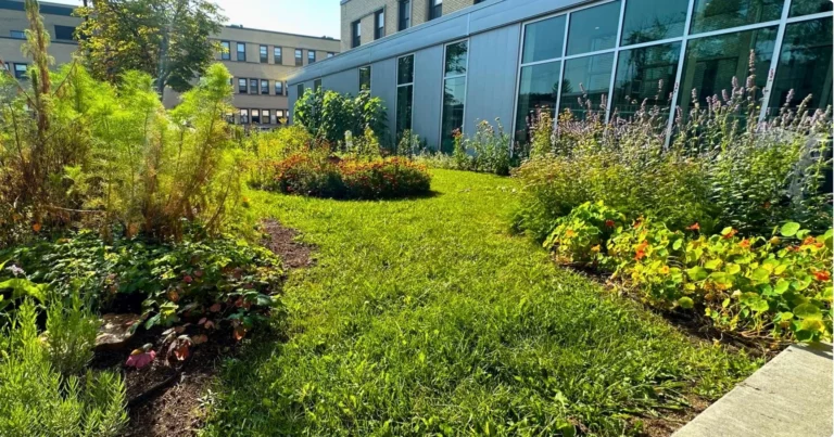 Jardin pour pollinisateurs au collège Durocher Saint-Lambert