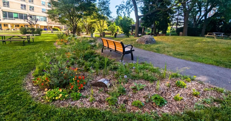 Jardin pour pollinisateurs au CHSLD Maimonides